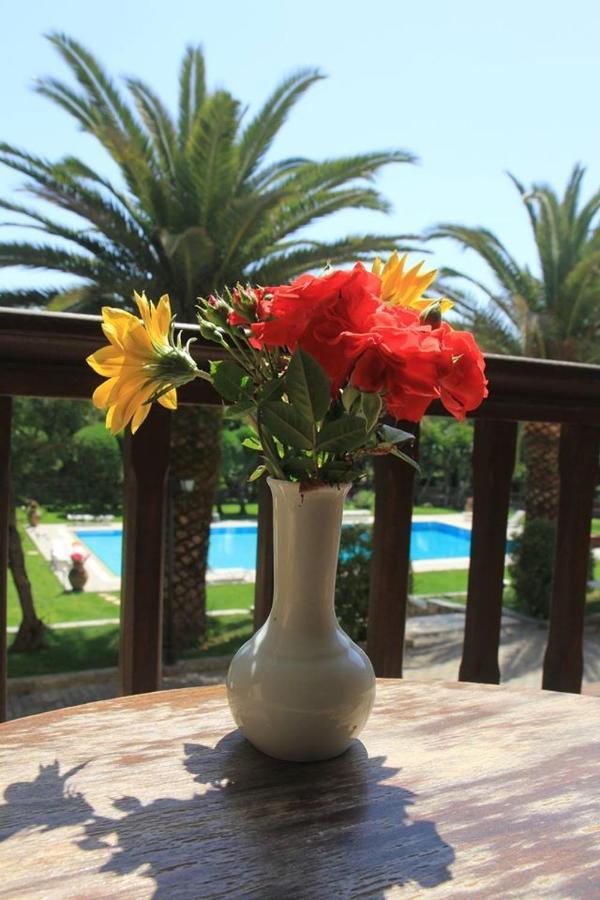 Double or Twin Room Pool View,1148199178:JPEG