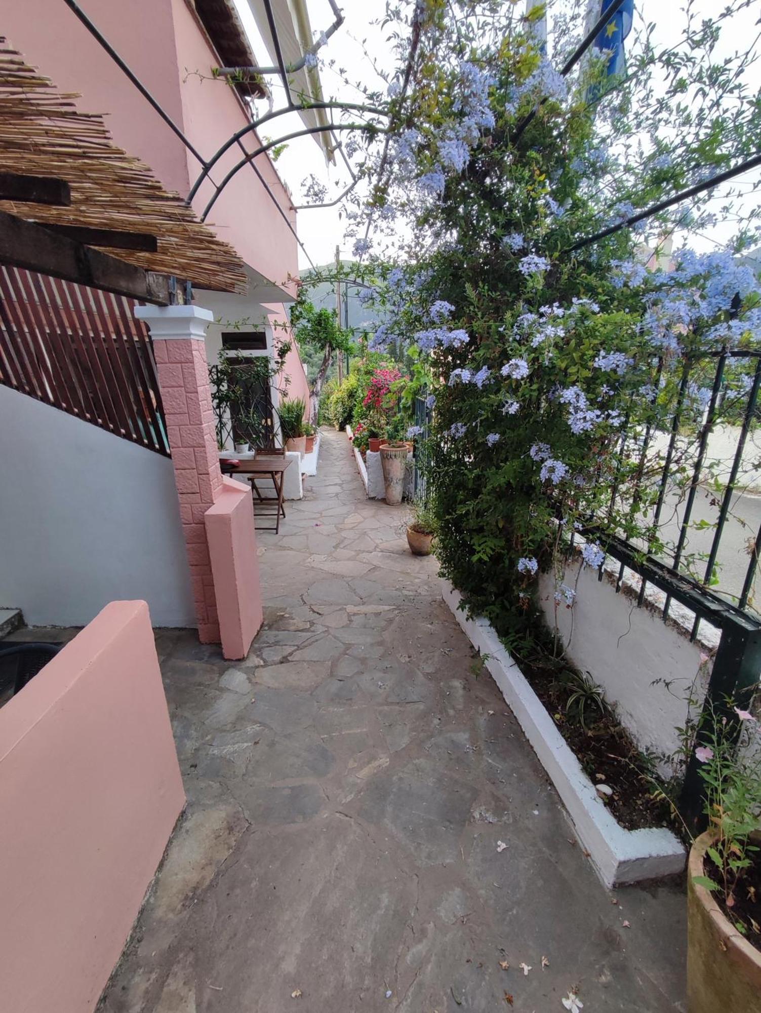 Double or Twin Room Terrace