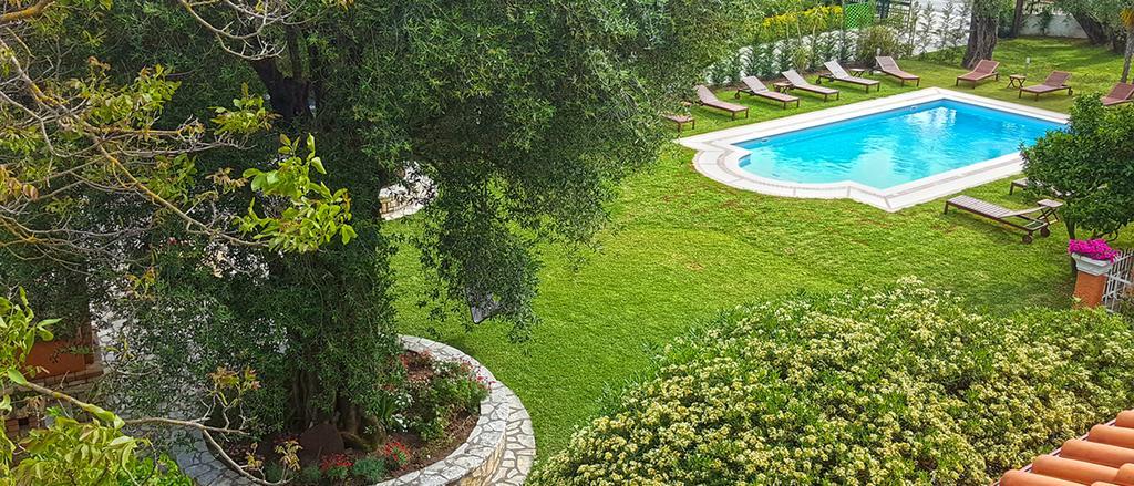 Luxury Apartment Garden Pool View,345595648:JPEG