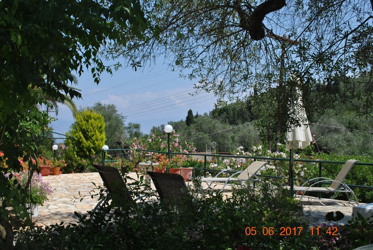 Στούντιο (4 Ενήλικες)
