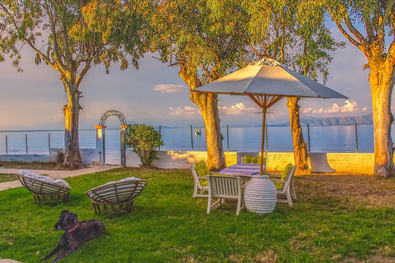 Casa Vacanze