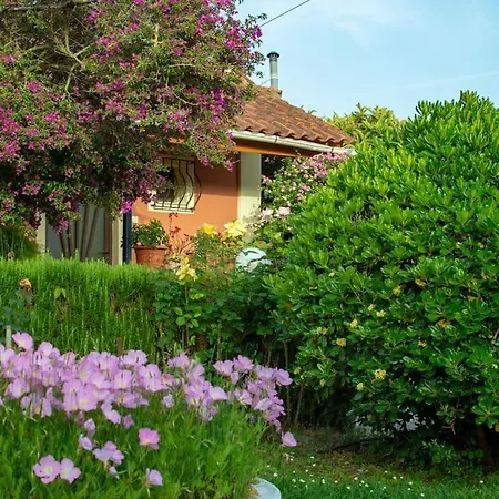 Rose Garden 2-3