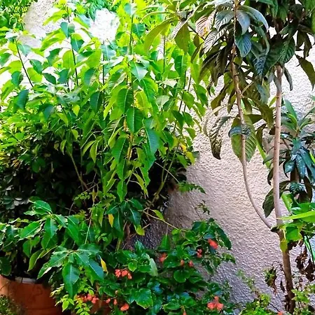 Vassilis Apartments-3