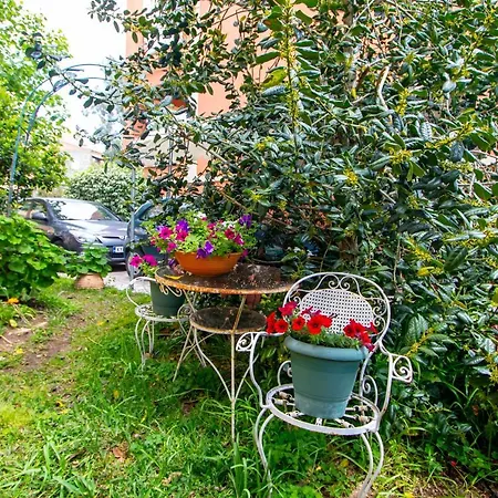 Sophie'S Garden Apartment-3