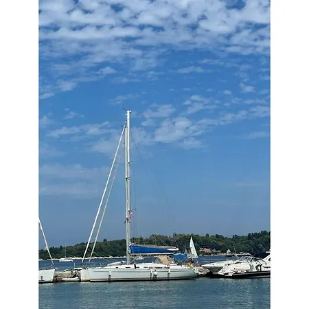 Oceanis 31037I-3