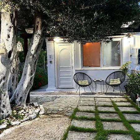 Olive Tree House,Agios Gordios-2