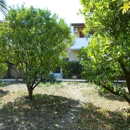 Anamama -Socrates Studios-2