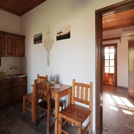 Serengeti Nap Comfy Rooms-2