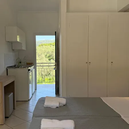 Anemona Studios-2