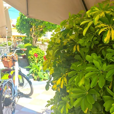 Vicky'S Guesthouse-3