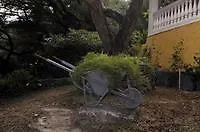 Katia Cottage-2