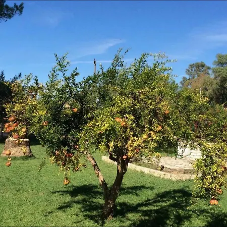 Yiouli Holiday Home-2