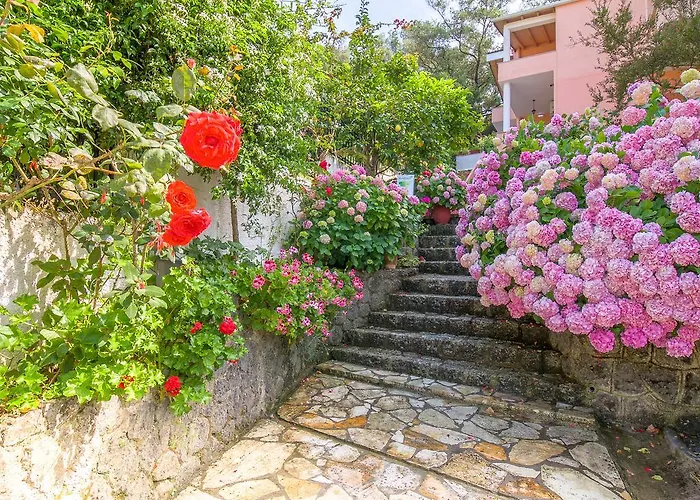 Evergreen Apartments Agios Gordios 