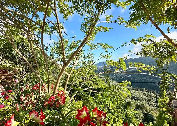 Horizon Apartments Agios Gordios 