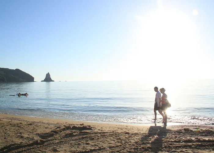 Pet friendly Pink Palace Beach Resort Agios Gordios 