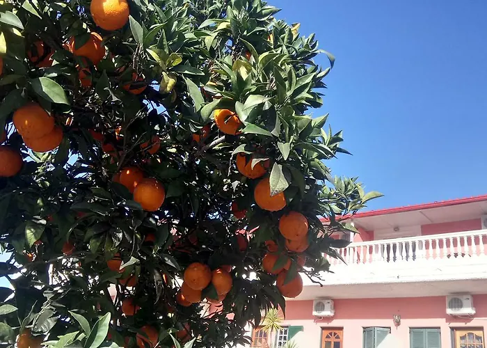 Flamingo Apartments Moraitika Corfu