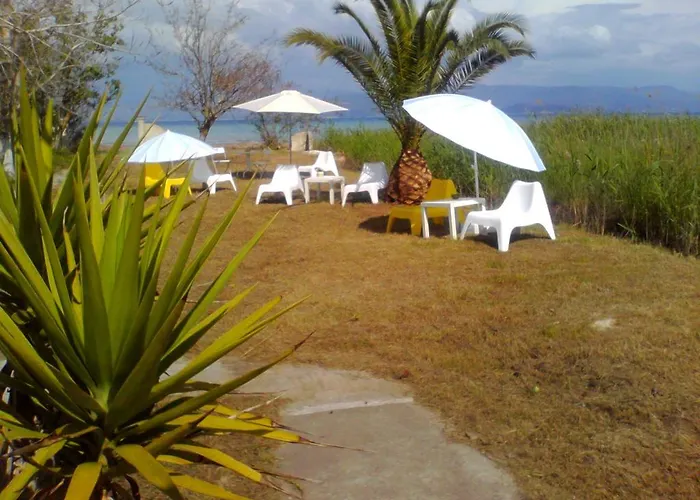 Pet friendly Virginia'S Beachfront Apartments Kavos