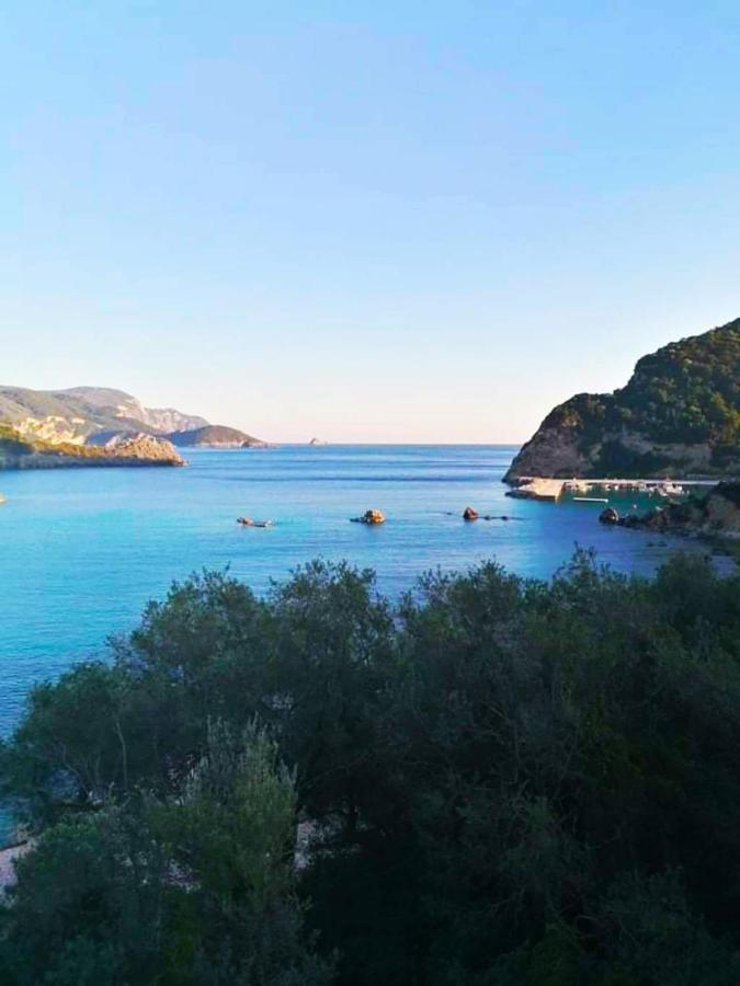 Vacation in Vassilis Apartments Paleokastritsa, Paleokastritsa hotel